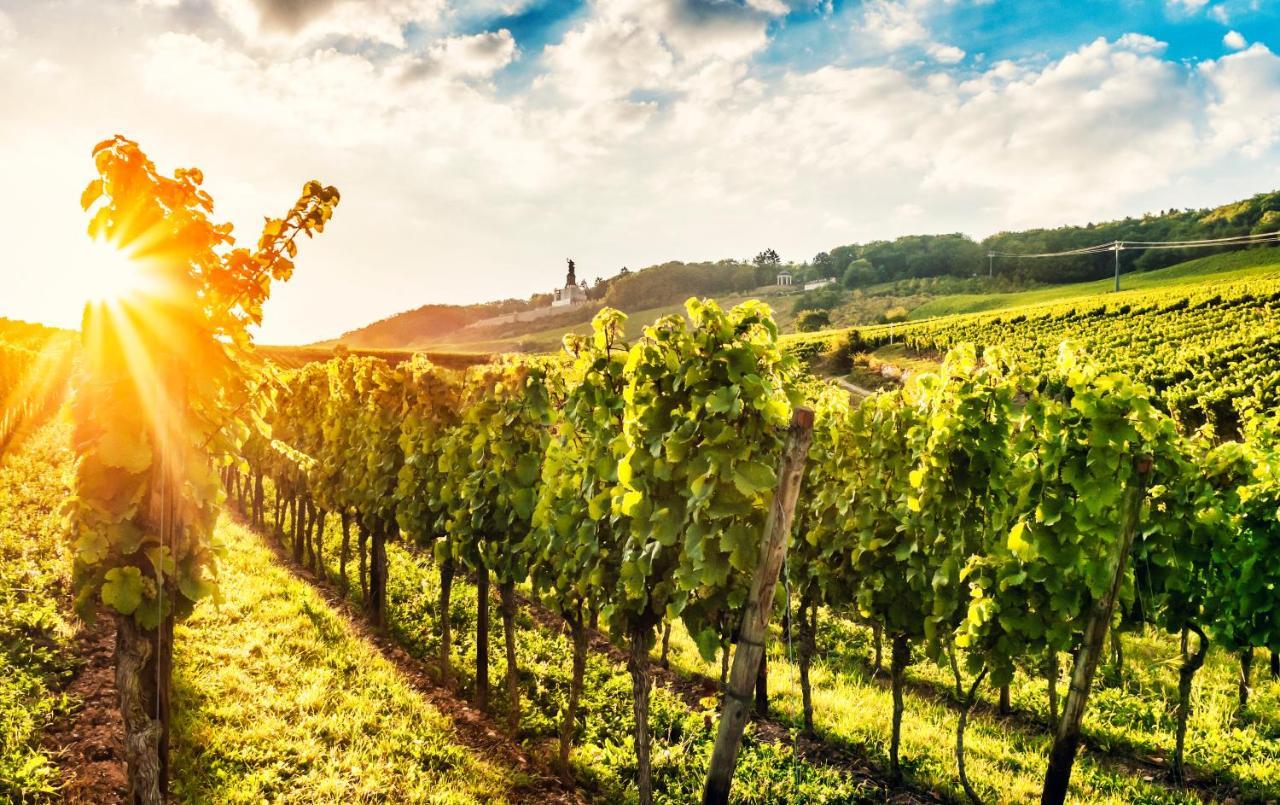Fewo Zum Malerwinkel - Ruedesheim Рюдесхайм-на-Рейне Экстерьер фото