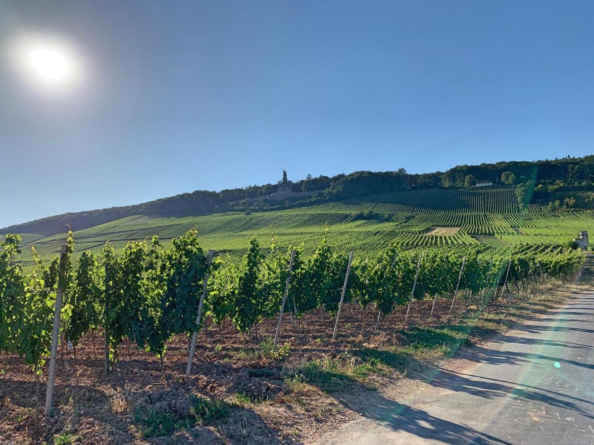 Fewo Zum Malerwinkel - Ruedesheim Рюдесхайм-на-Рейне Экстерьер фото